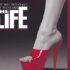 The Life Musical Cy Colman - Theatregold