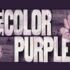 The Color Purple Musical - Theatregold