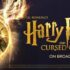 Harry Potter and the Cursed Child on Broadway j